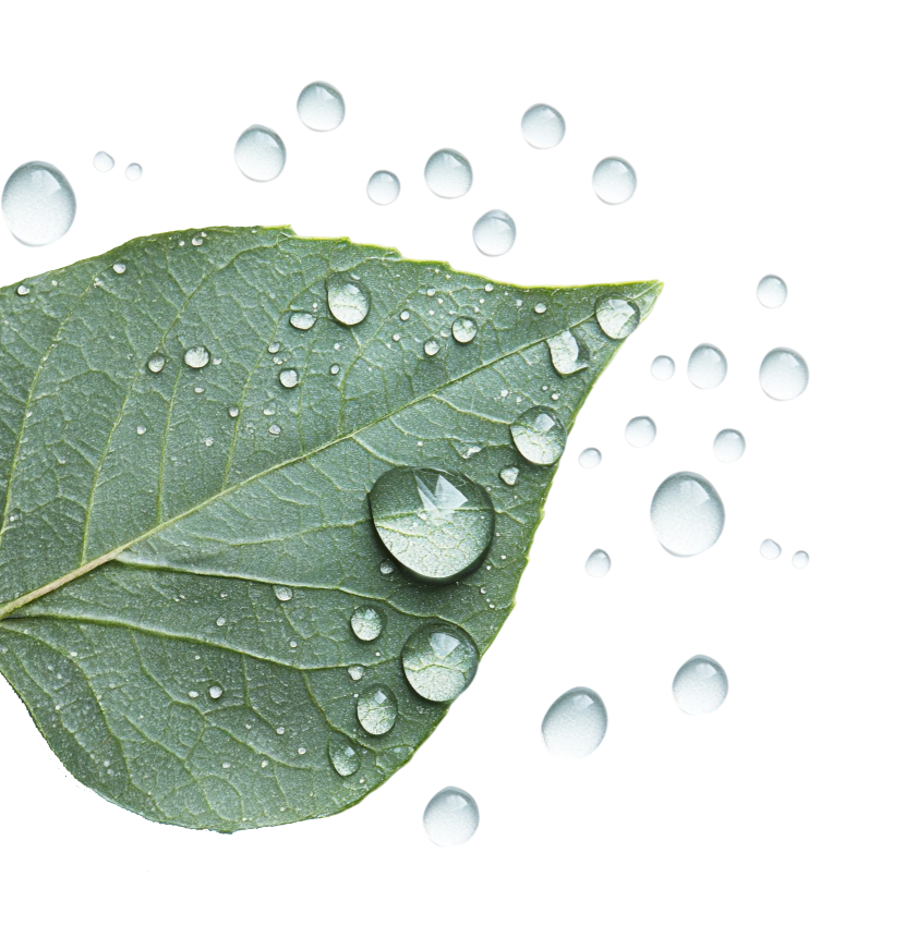 Artisan couvreur dans le Morbihan et ses alentours