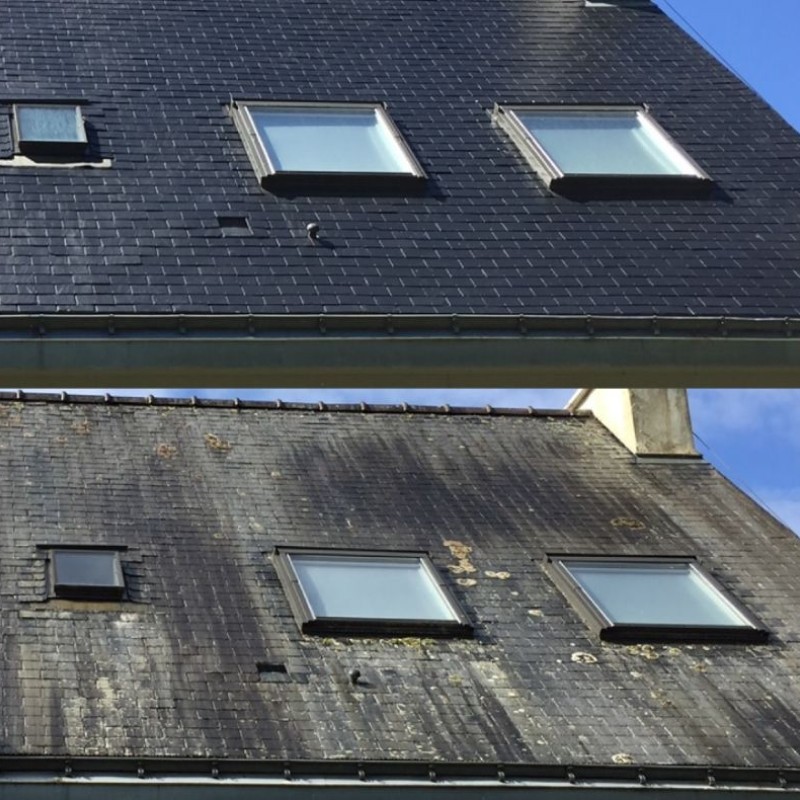 Nettoyage basse pression traitement anti-mousse et révision de toiture pour l'étanchéité